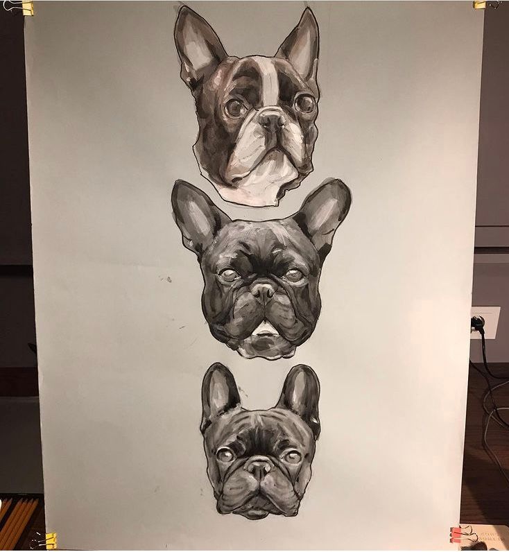 Watercolor dogs