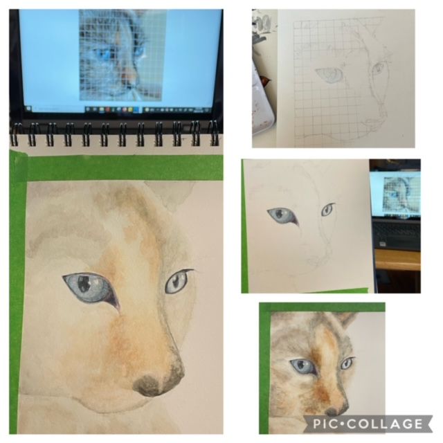 The process of building my painting - from sketch (using the grid method) through the eyes, then the first and second layers.
