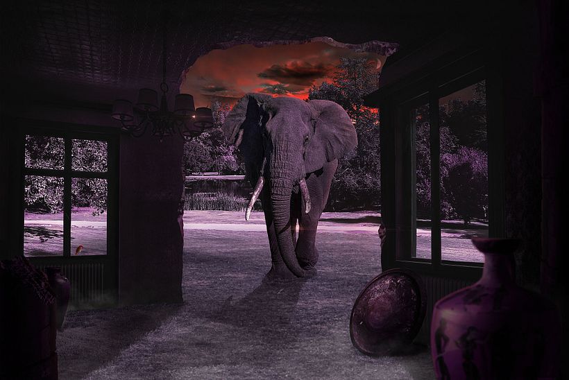 Mi Proyecto del curso: Secretos del fotomontaje y el retoque creativo 1