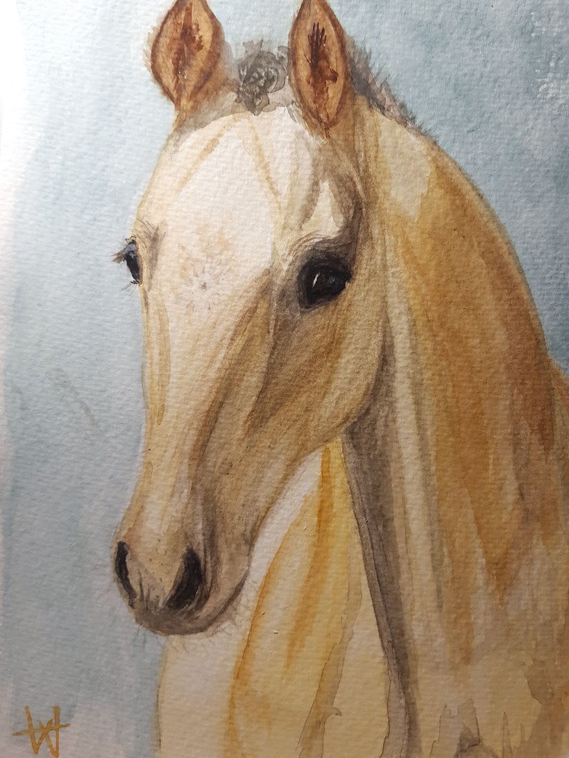 My project in Experimental Watercolor Techniques for Beginners course 1