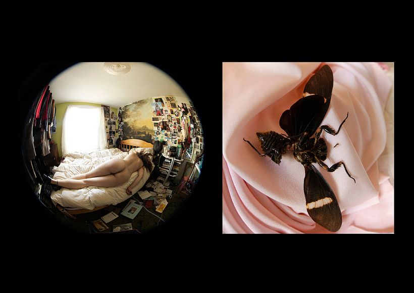 Songs of Innocence and Experience - Self-portrait project 14