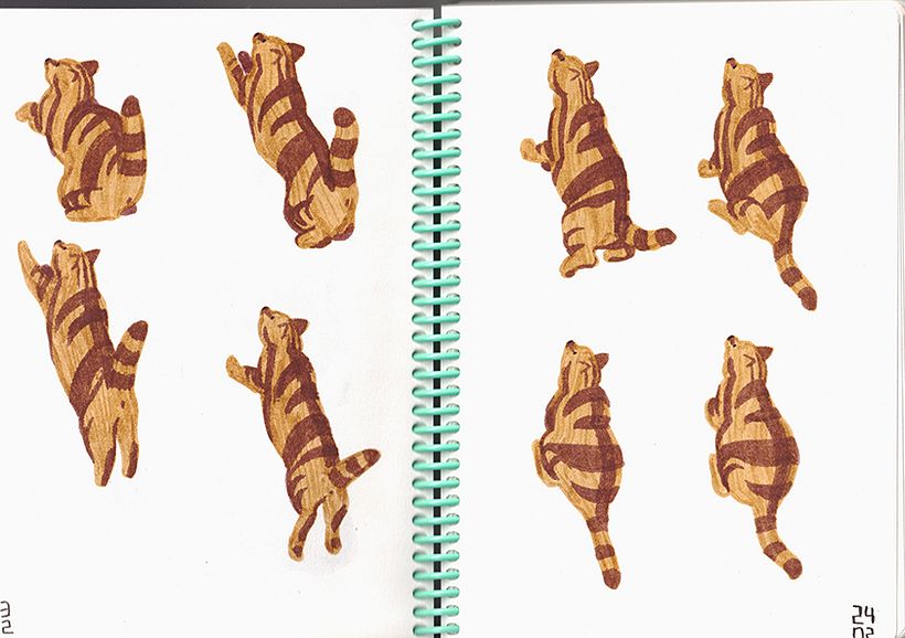 Jump Cat // Carnet 2