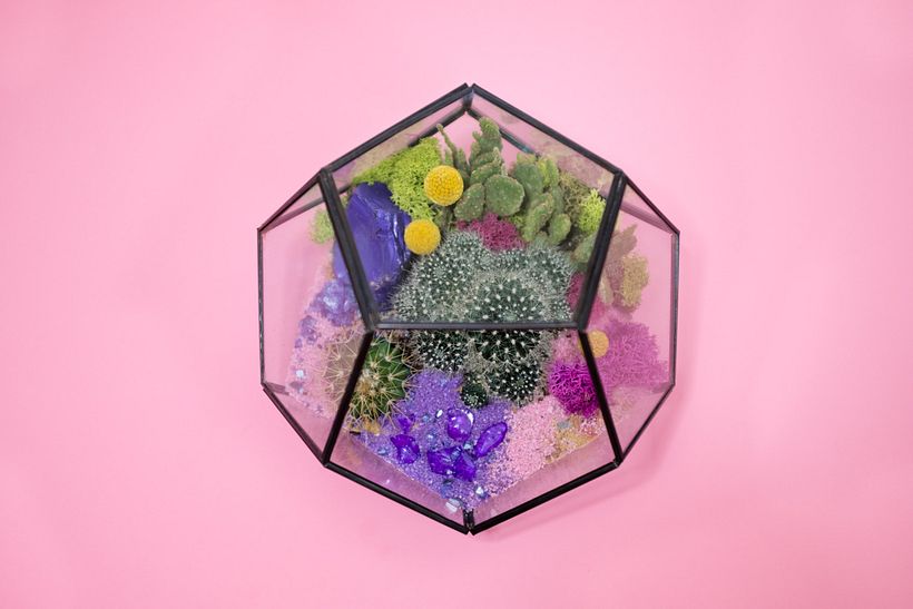Puedes crear el contenedor de tu terrario con tus propias manos. Unsplash. 