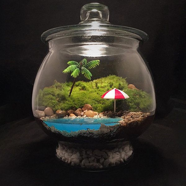Ten una mini playa al alcance de tu mano con un terrario de autor. 