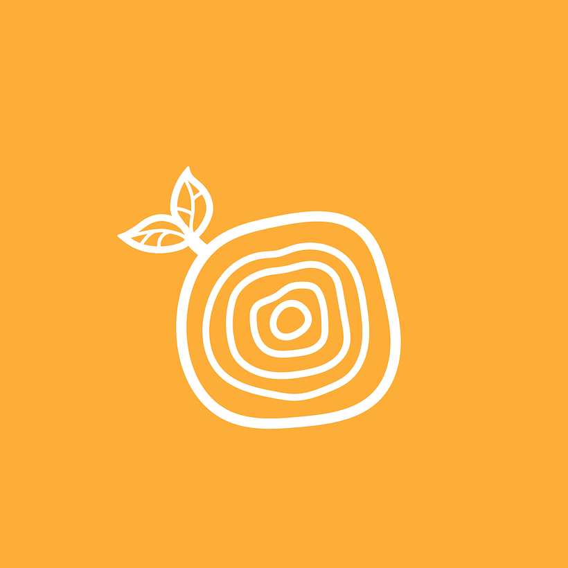 Display Photo Icon White