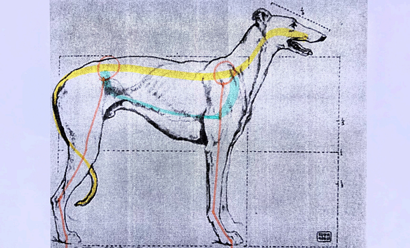 Mi Proyecto del curso: crea toppers de animales con chocolate moldeable - Diseño