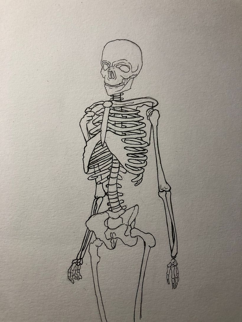 El esqueleto humano y sus formas 3