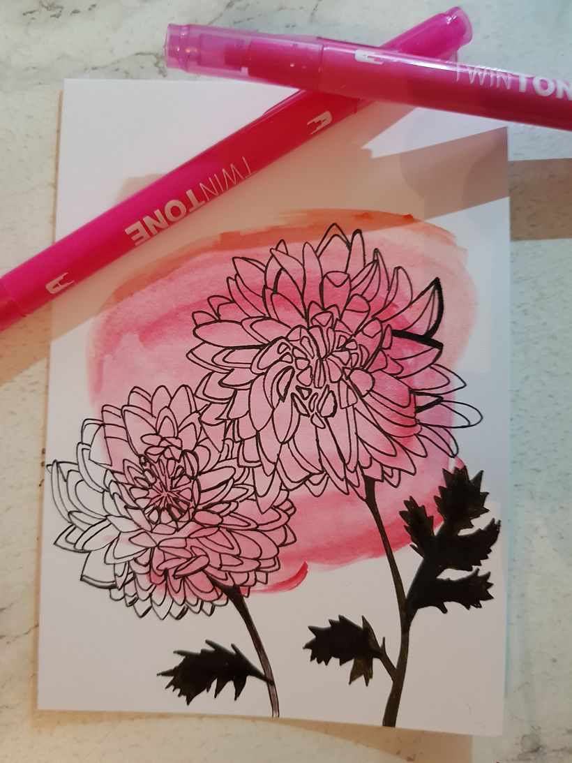 Mein Kursprojekt: Botanisches Zeichenheft: ein meditativer Ansatz 2