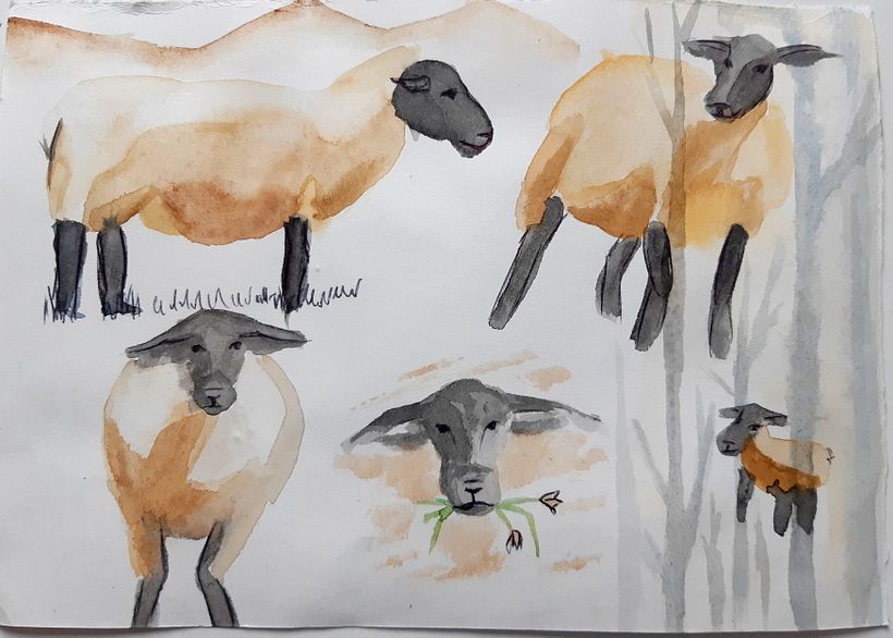 My project in Creative Watercolor Sketching for Beginners course 13