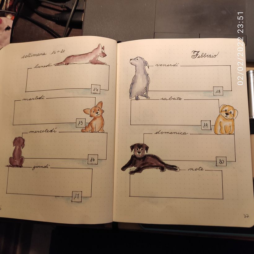 settimana con cani