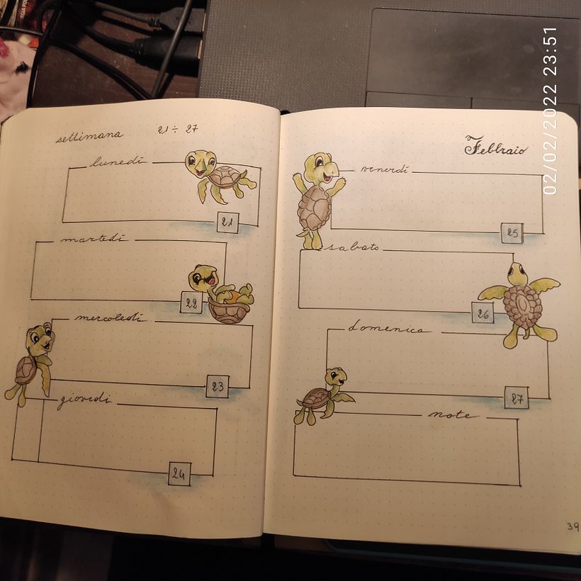 settimana con tartarughe