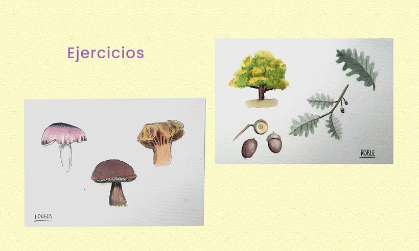 Mi Proyecto del curso: Cuaderno botánico en acuarela 5