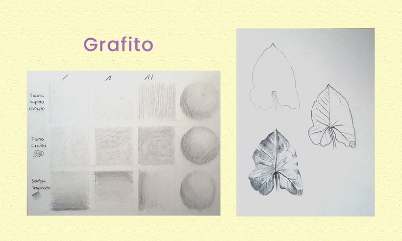 Mi Proyecto del curso: Cuaderno botánico en acuarela 1