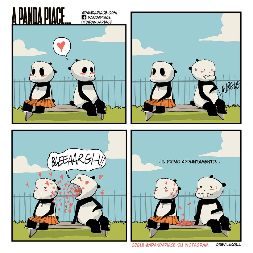 A PANDA PIACE 13