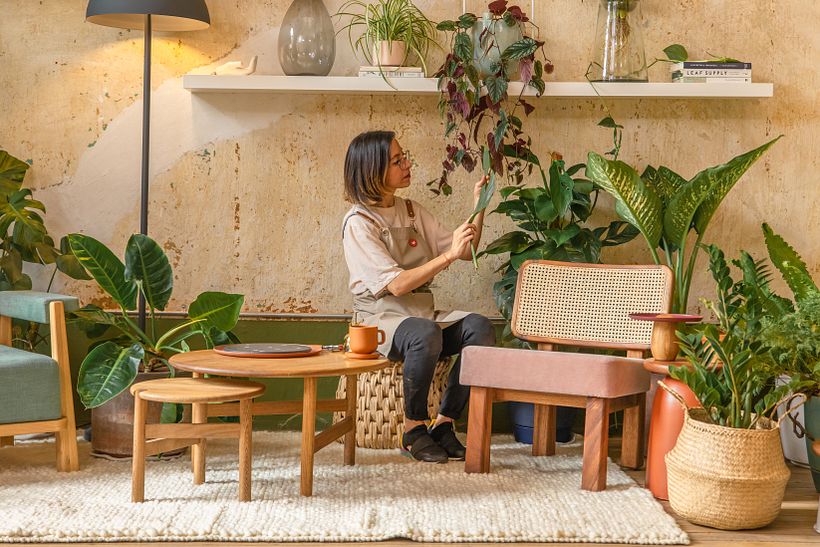 Colocamos, analizamos y cuidamos a las plantas que estamos proponiendo en nuestro nuevo espacio.