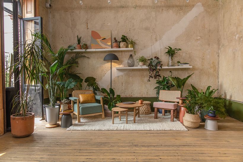Mi Proyecto del curso: Diseño de interiores con plantas desde cero 14