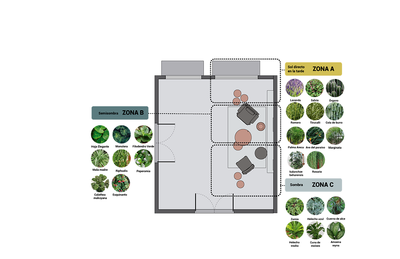 Ubicamos la paleta vegetal en las diferentes zonas de exposición solar según las condiciones adecuadas para ellas.