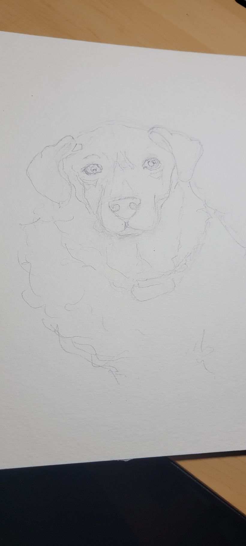 Initial sketch