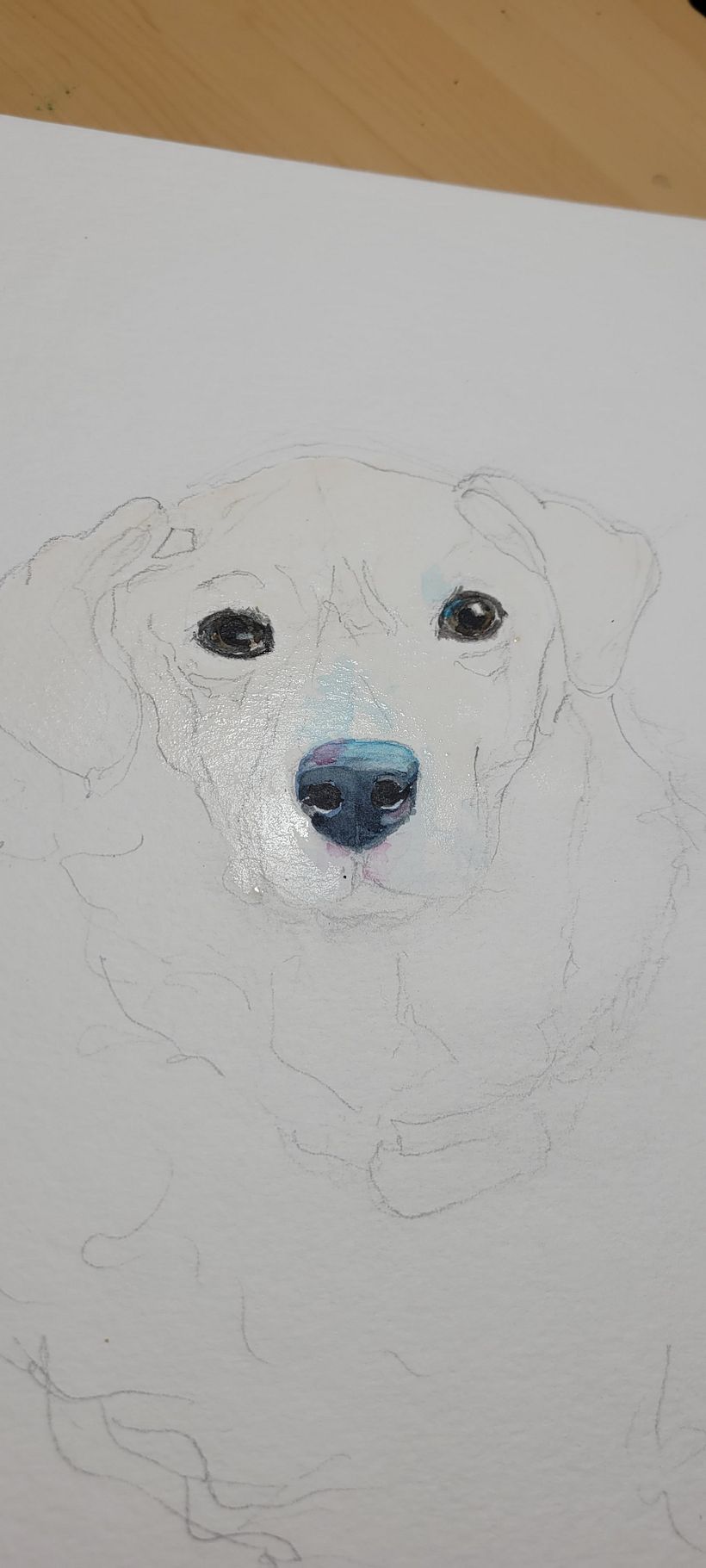 Wile E.-My project in Expressive Animal Portraits in Watercolor course 3