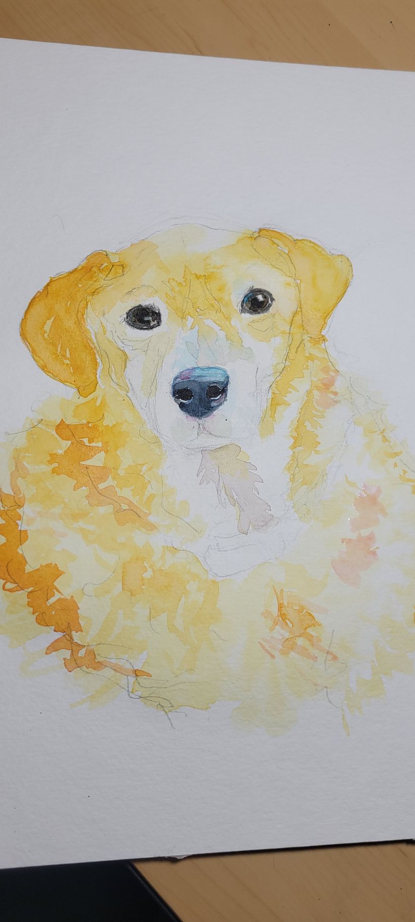 Wile E.-My project in Expressive Animal Portraits in Watercolor course 5