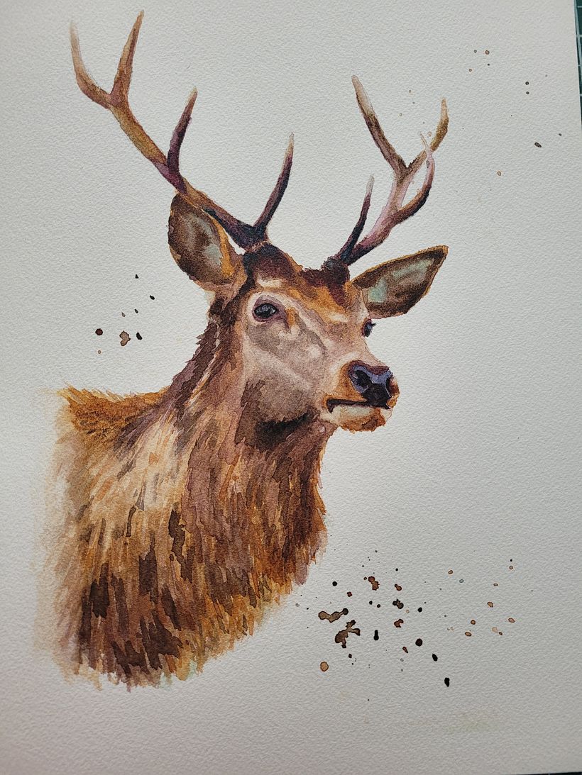 color and texture exercise