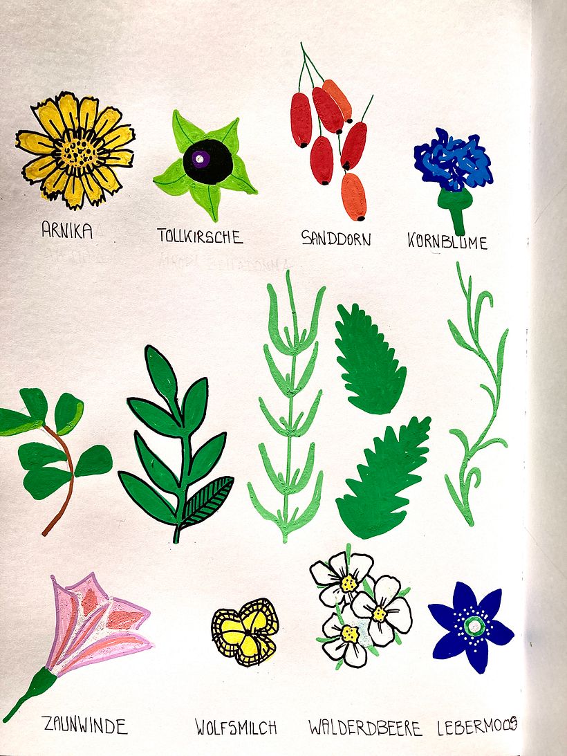 My project in Botanical Patterns in a Sketchbook: Conquer the Blank Page course 2