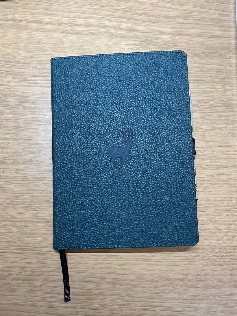 My project in Introduction to Illustrated Bullet Journaling course 2