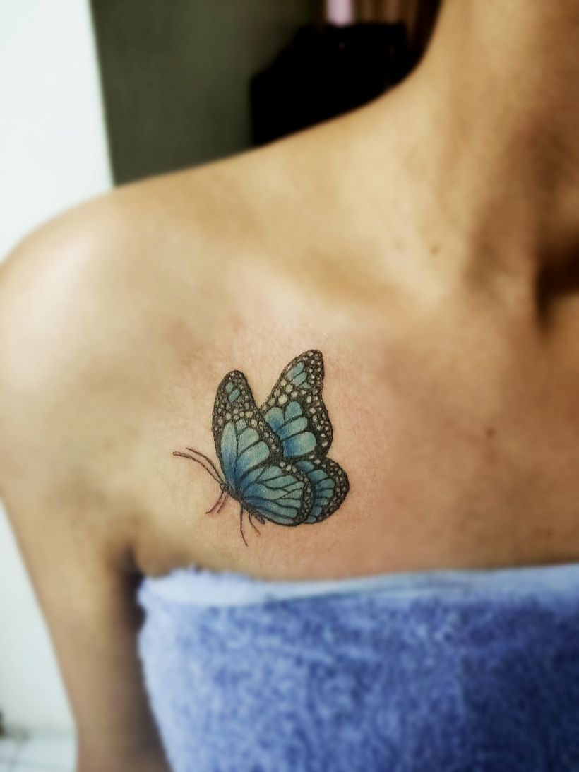 Mariposa 