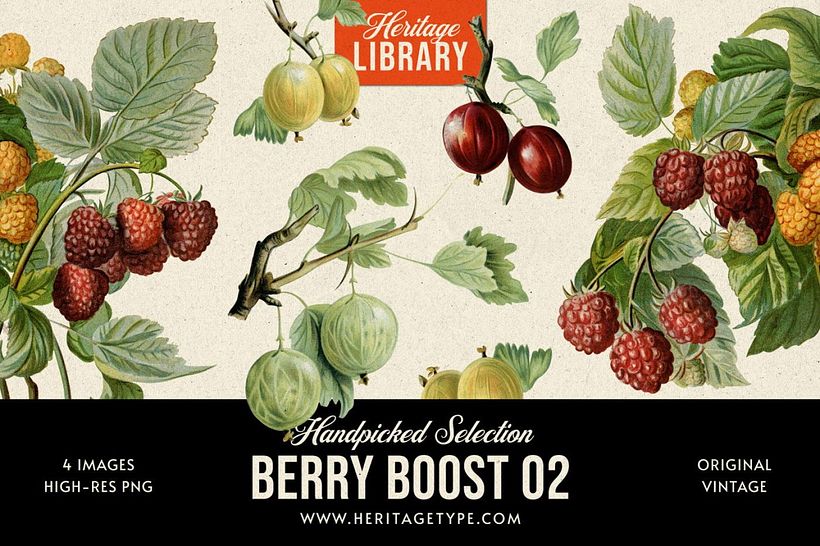 Berry Boost 02 von Heritage Library.