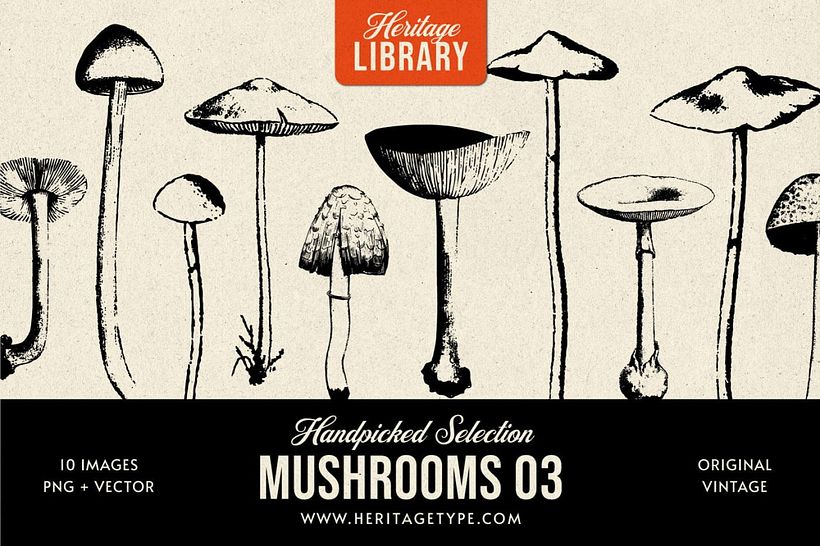 Mushrooms 03 von Heritage Library.
