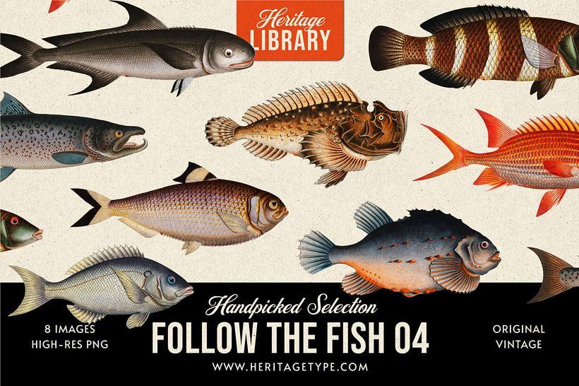 Follow the Fish 04 von Heritage Library.