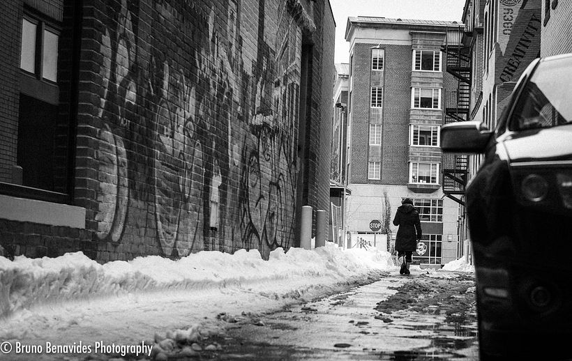 Reflections of Winter 3