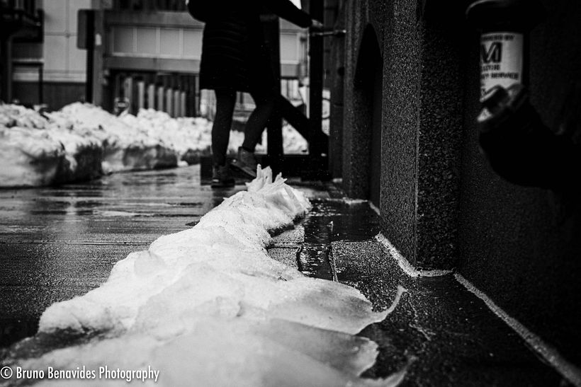 Reflections of Winter 6