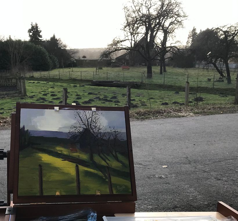 leider konnte ich nicht schnell genug fotografieren, wenn die Sonne kam...