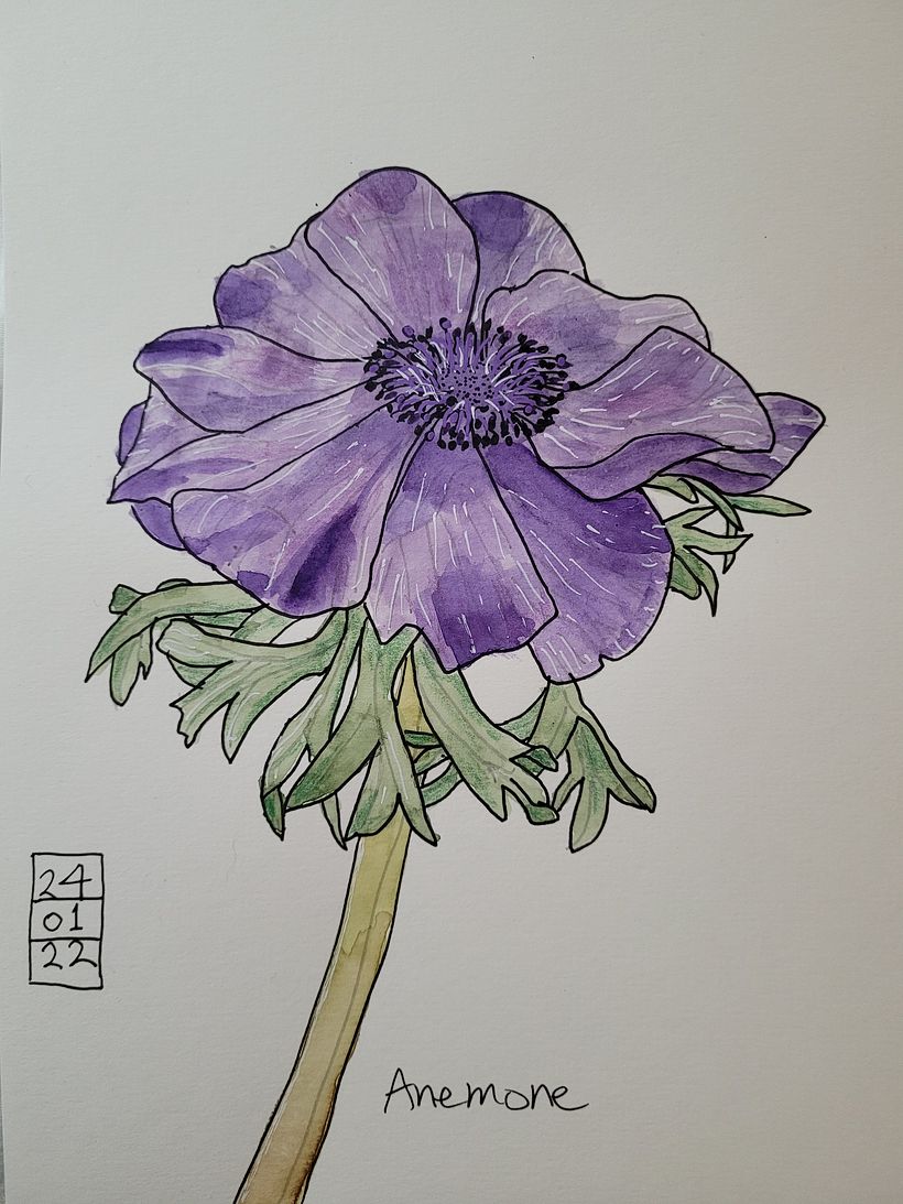 Mijn project van de cursus: Het botanische sketchbook: een meditatieve benadering 3