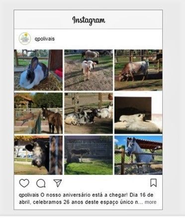 Meu projeto do curso: Estratégia para redes sociais: conecte com seus seguidores 2