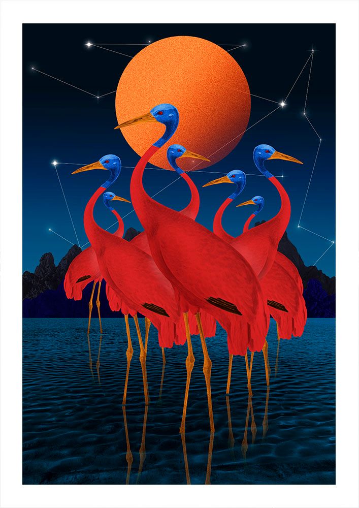 Gwiazdozbiór Żurawia