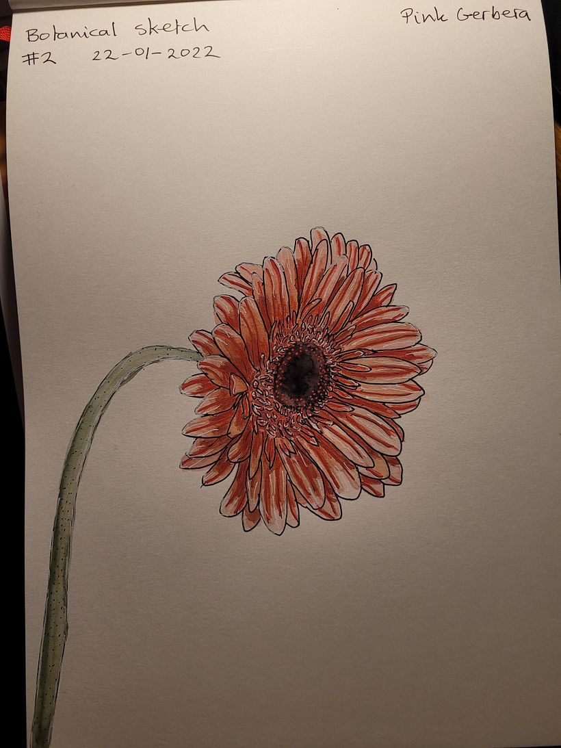 Mijn project van de cursus: Het botanische sketchbook: een meditatieve benadering 4