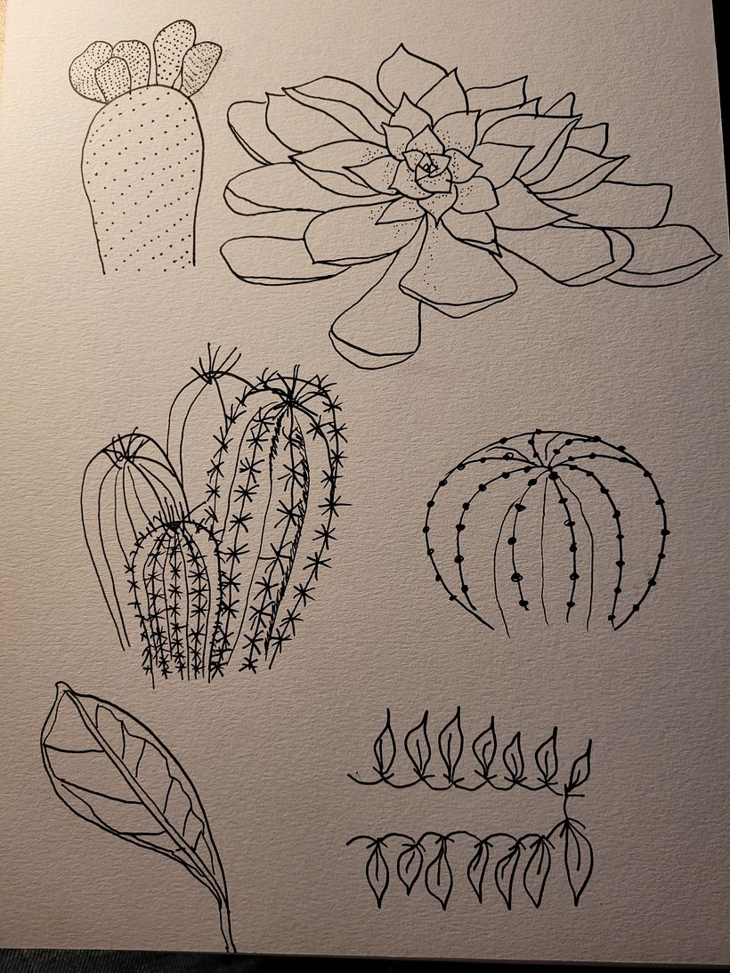 Mijn project van de cursus: Het botanische sketchbook: een meditatieve benadering 8