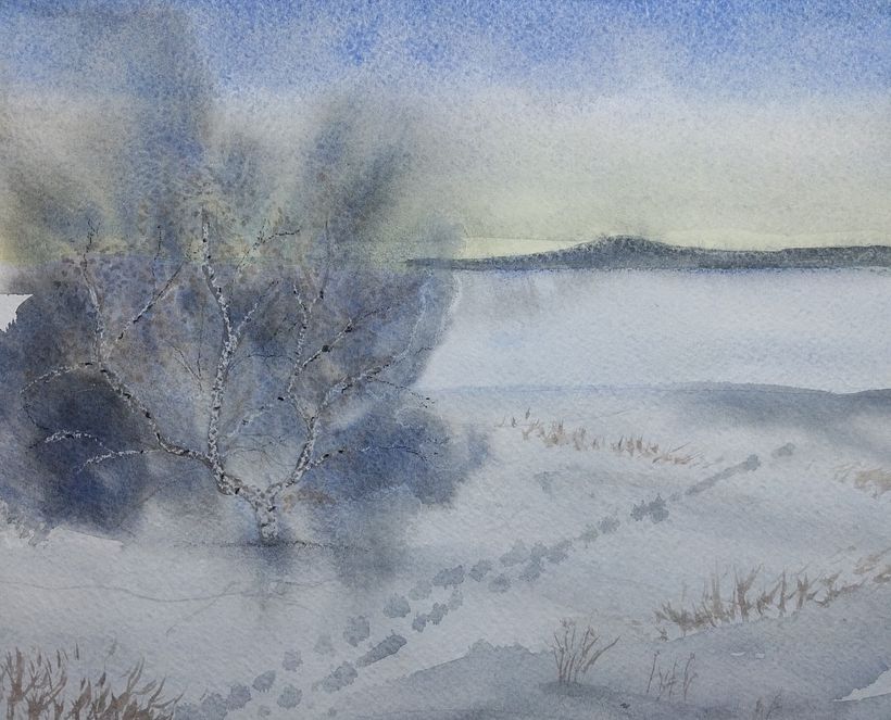 Paysage nordique 3