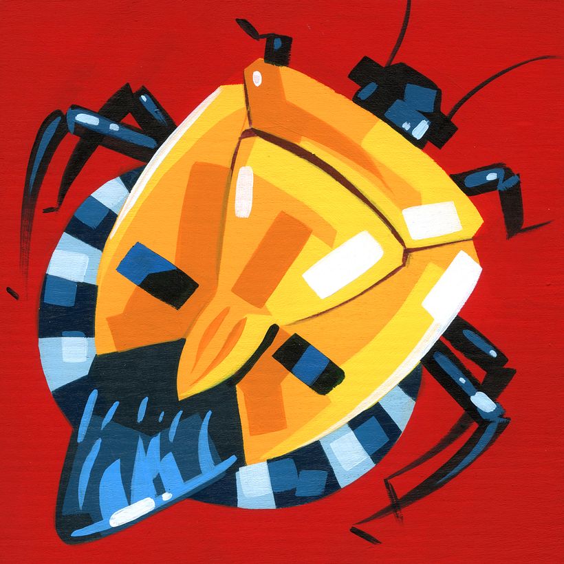 Bugs & Insects  3