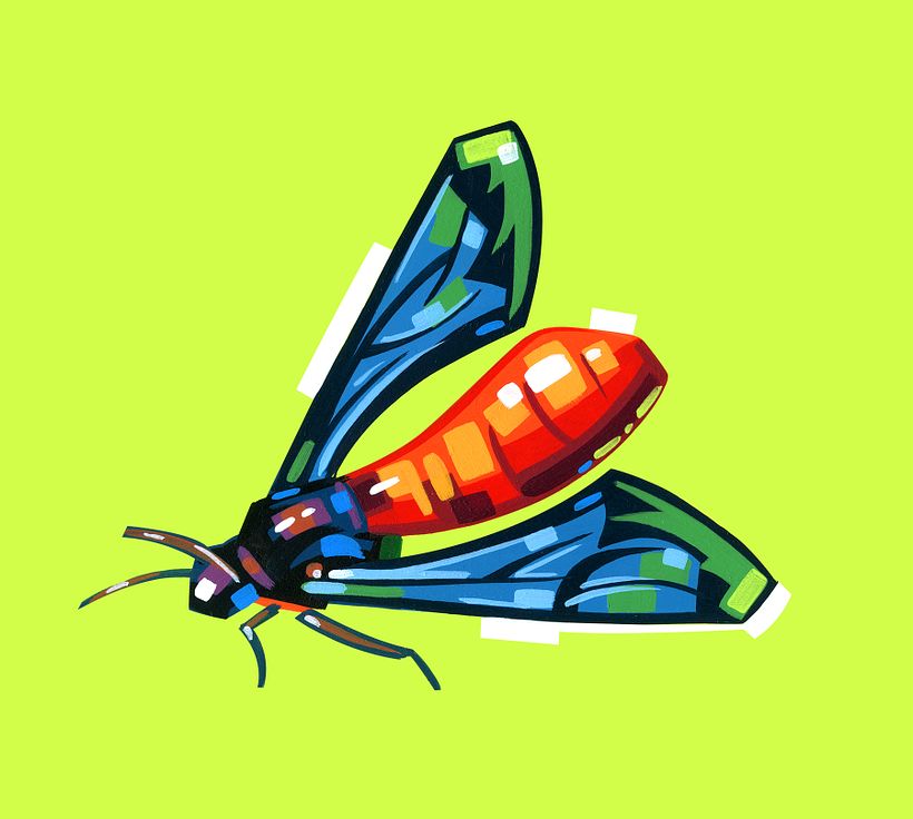 Bugs & Insects  4