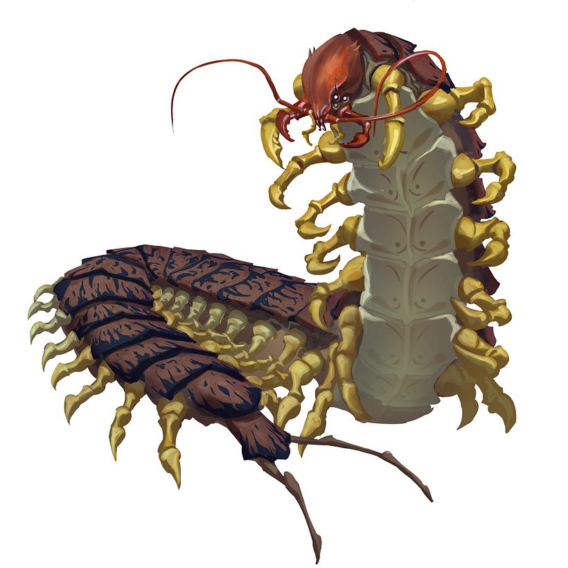 Pathfinder 4