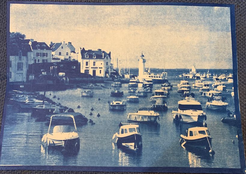 Mon projet du cours : Cyanotype : technique d'impression à la lumière 3