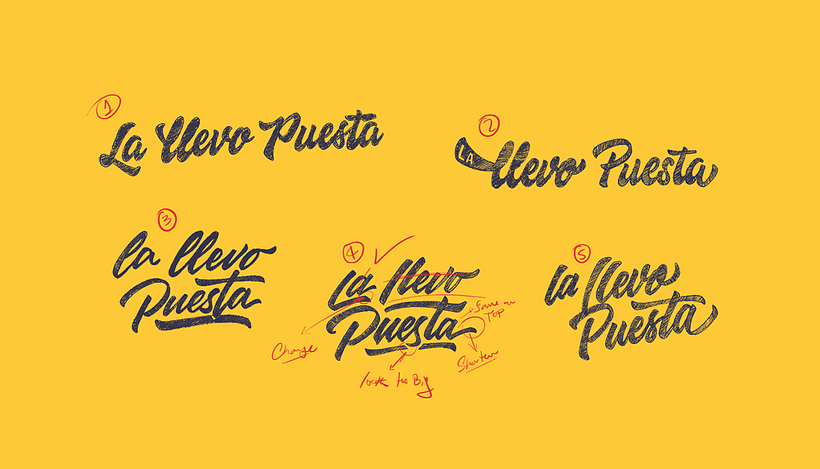 La Llevo Puesta 4