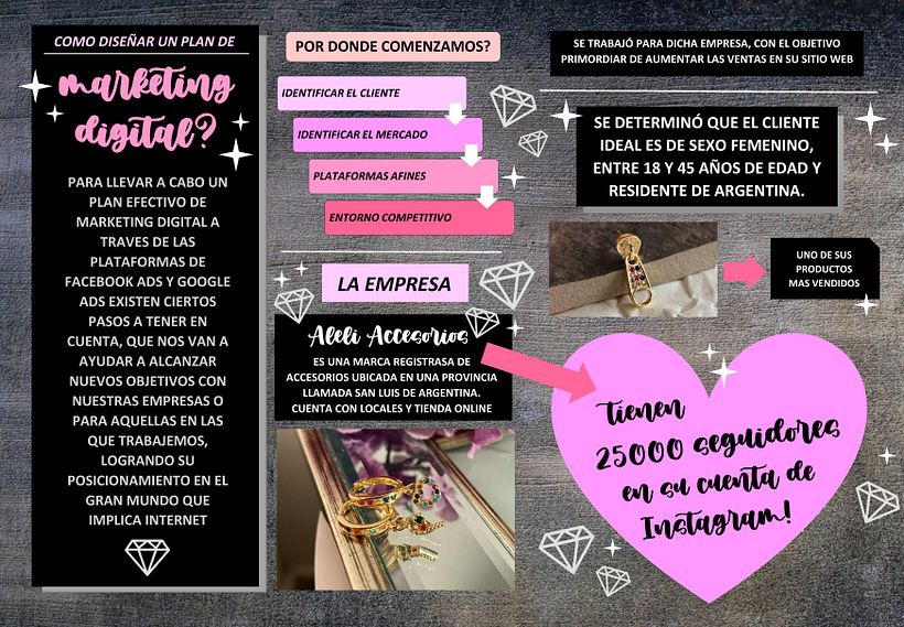 Proyecto Aleli Accesorios: Google Ads y Facebook Ads desde cero 3