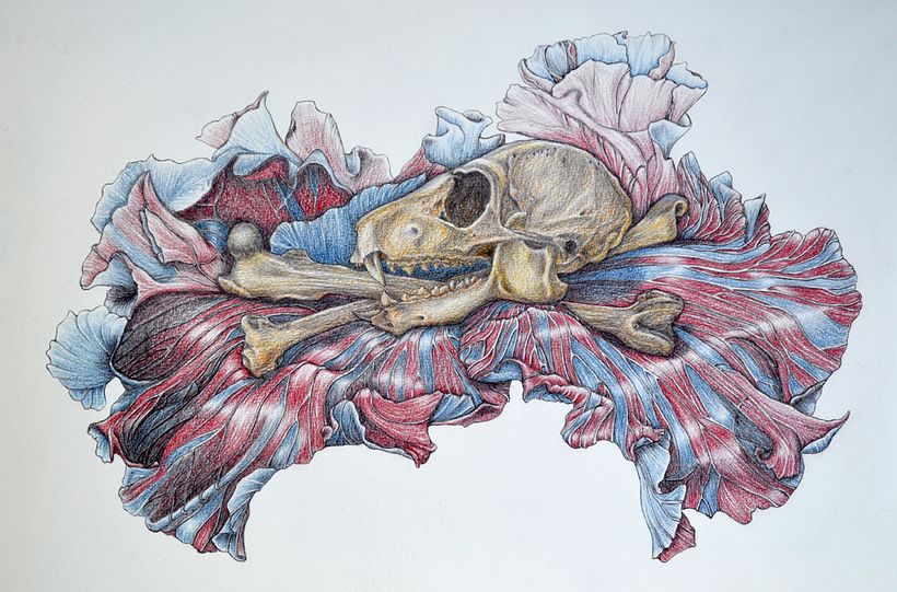 Mein Kursprojekt: Kugelschreiberzeichnungen: Naturalistische Illustration 5