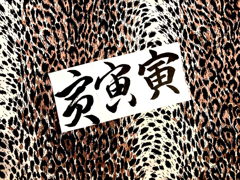 ©RIE TAKEDA / Tiger in Sanshotai, three calligraphy styles