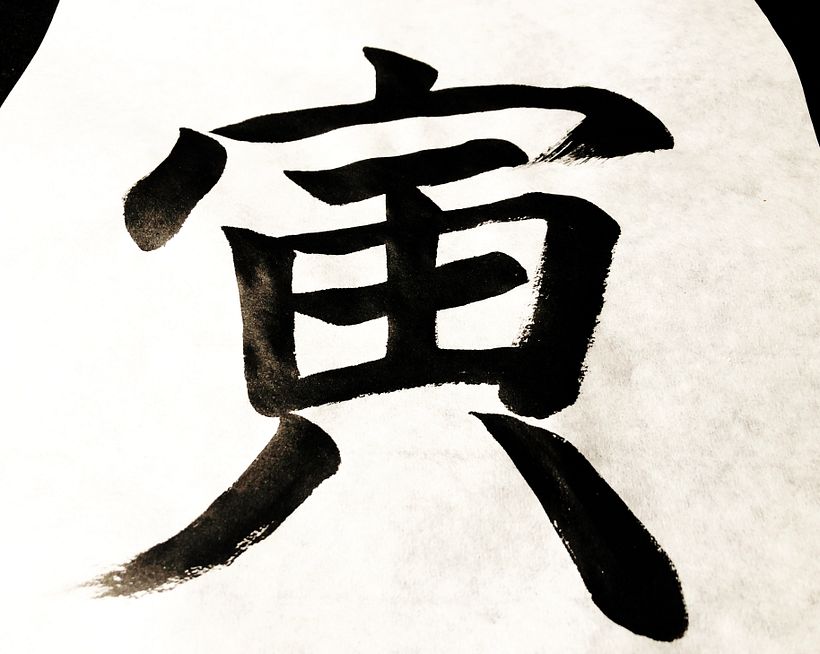 ©RIE TAKEDA / TIGER IN KAISHO, BLCOK STYLE
