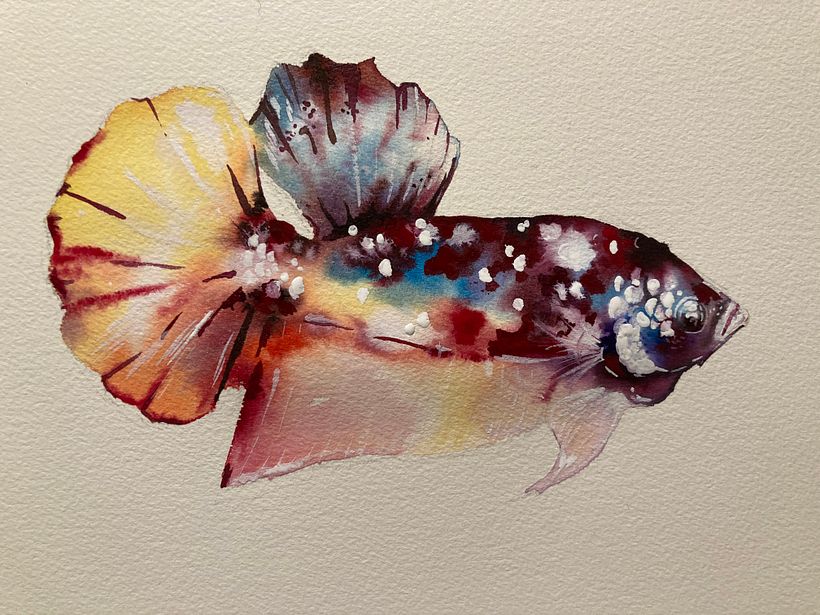 My project in Experimental Watercolor Techniques for Beginners course 5